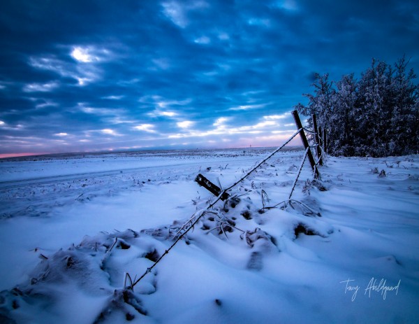 Pink Sunrise in winter Hi Res    by Tracy Abildgaard